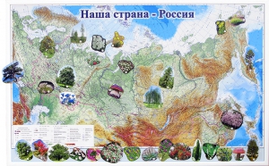 Магнитные карточки "Растения" - fgospostavki.ru - Обнинск