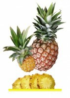 Комплект карточек "Запоминай, играй, считай" - Фрукты - fgospostavki.ru - Обнинск