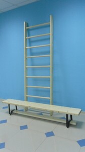 Стенка гимнастическая шведская премиум (1000х3200 мм) - fgospostavki.ru - Обнинск