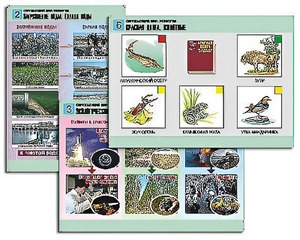 Комплект таблиц "Окружающий мир. Экология" (6 таблиц, А1, ламинированные) - fgospostavki.ru - Обнинск