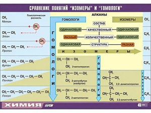 Таблица демонстрационная "Сравнение понятий изомер и гомолог" (винил 100x140) - fgospostavki.ru - Обнинск