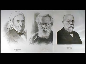 Портреты биологов (26 штук, формат А3) - fgospostavki.ru - Обнинск