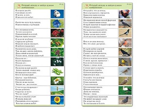 Комплект карточек (10) "Обучающий калейдоскоп. Природа" - fgospostavki.ru - Обнинск
