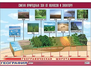 Таблица демонстрационная "Смена природных зон от полюсов к экватору" (винил 70*100) - fgospostavki.ru - Обнинск