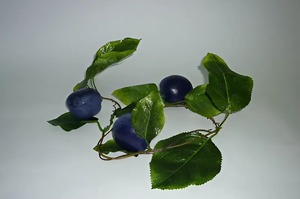 Ветка муляжей "Слива" - fgospostavki.ru - Обнинск