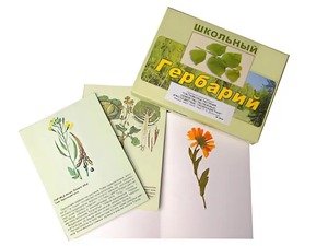 Гербарий "Систематика растений. Семейство Пасленовые. Крестоцветные. Сложноцветные" (раздаточный) - fgospostavki.ru - Обнинск
