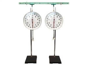 Динамометр демонстрационный (пара) - fgospostavki.ru - Обнинск