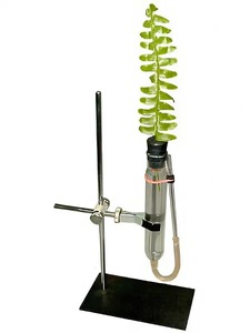 Прибор для демонстрации всасывания воды корнями - fgospostavki.ru - Обнинск