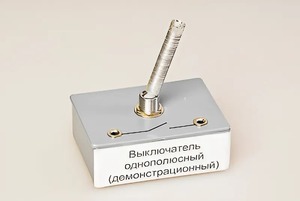 Выключатель однополюсный (демонстрационный) - fgospostavki.ru - Обнинск
