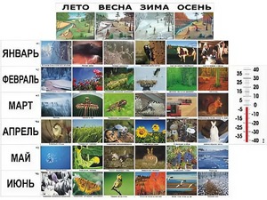 Фенологические наблюдения - fgospostavki.ru - Обнинск