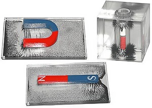 Набор для демонстрации объемных спектров постоянных магнитов - fgospostavki.ru - Обнинск