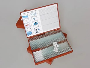 Комплект микропрепаратов "Ботаника 2" - fgospostavki.ru - Обнинск