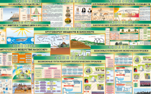 Комплект таблиц "Экология (9 листов)" (100х140 сантиметров, винил) - fgospostavki.ru - Обнинск