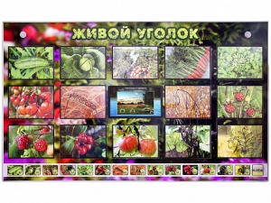 Комплект оборудования "Живой уголок" (растения) с тифлопереводом и сурдокомментариями - fgospostavki.ru - Обнинск