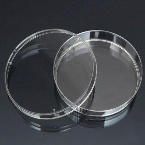 Чашка Петри стеклянная с крышкой 100х20 - fgospostavki.ru - Обнинск