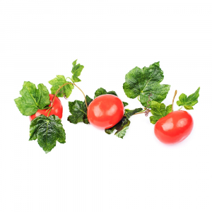 Ветка муляжей "Помидоры" - fgospostavki.ru - Обнинск