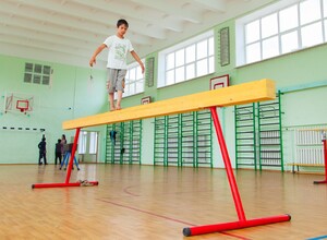 Бревно гимнастическое напольное постоянной высоты (700 мм) (5 м) - fgospostavki.ru - Обнинск