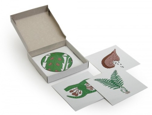 Модель-аппликация "Размножение папоротника" (набор из 8 карт) - fgospostavki.ru - Обнинск