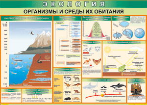 Таблица "Организмы и среды их обитания" (100х140 сантиметров, винил) - fgospostavki.ru - Обнинск