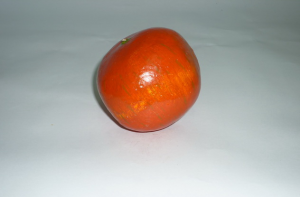 Муляж "Гранат" - fgospostavki.ru - Обнинск