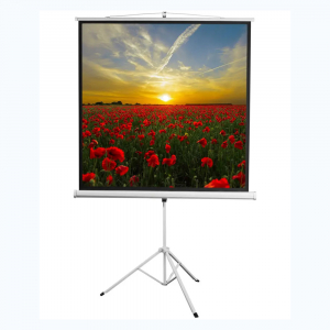 Экран на штативе DSKD-1105  - fgospostavki.ru - Обнинск