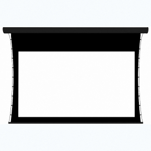 Экран настенный с электроприводом DSTPX-16918 - fgospostavki.ru - Обнинск