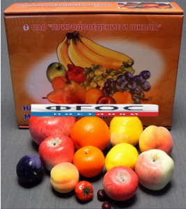 Набор муляжей фруктов (большой из 13 штук) - fgospostavki.ru - Обнинск