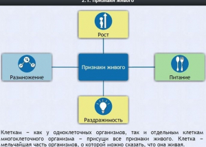 Интерактивные курсы. Биология 5 класс. Базовый - fgospostavki.ru - Обнинск