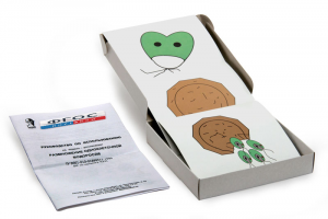 Модель-аппликация "Размножение одноклеточной водоросли" (набор из 11 карт) - fgospostavki.ru - Обнинск