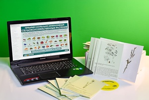 Гербарий натурально-интерактивный "Сельскохозяйственные растения" - fgospostavki.ru - Обнинск