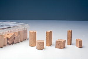 Игровой набор Фребеля "Конструктор" (50 элементов, бук, серия "Красота вокруг нас") - fgospostavki.ru - Обнинск