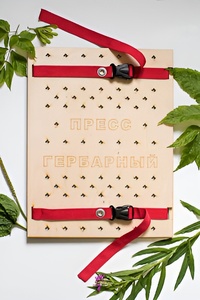 Пресс гербарный (сетка) - fgospostavki.ru - Обнинск