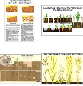 Плакаты ПРОФТЕХ "Агрономия" (5 пл, винил, 70х100) - fgospostavki.ru - Обнинск