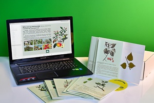 Гербарий натурально-интерактивный "Деревья и кустарники" - fgospostavki.ru - Обнинск