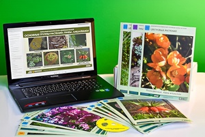 Гербарий натурально-интерактивный "Основные группы растений. Грибы. Лишайники" - fgospostavki.ru - Обнинск