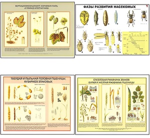 Плакаты ПРОФТЕХ "Вредители и болезни с/х культур и меры борьбы с ними" (11 пл, винил, 70х100) - fgospostavki.ru - Обнинск