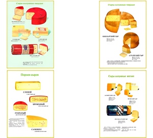 Плакаты ПРОФТЕХ "Ассортимент сыров" (9 пл, винил, 70х100) - fgospostavki.ru - Обнинск