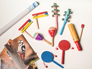 Комплект шумовых музыкальных инструментов - fgospostavki.ru - Обнинск