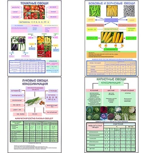 Плакаты ПРОФТЕХ "Классификация овощей" (11 пл, винил, 70х100) - fgospostavki.ru - Обнинск
