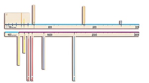 Модель-аппликация "Расстояния во Вселенной" - fgospostavki.ru - Обнинск