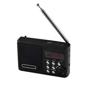 Радиоприемник цифровой с крупными кнопками - fgospostavki.ru - Обнинск