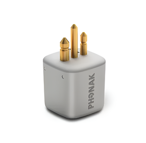 FM-приемник Roger X - fgospostavki.ru - Обнинск