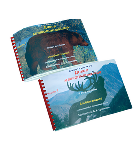 Пособие для слабовидящих - Дикие млекопитающие - fgospostavki.ru - Обнинск