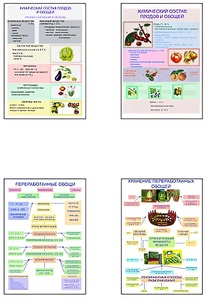 Плакаты ПРОФТЕХ "Классификация овощей и переработка" (8 пл, винил, 70х100) - fgospostavki.ru - Обнинск