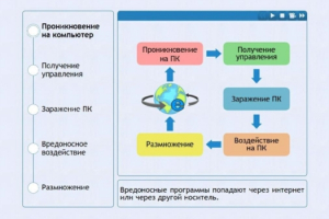 Интерактивные курсы. Информатика 10 класс . Базовый. - fgospostavki.ru - Обнинск