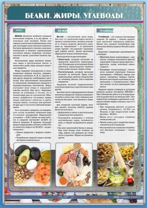 Стенд "Белки. Жиры. Углеводы" - fgospostavki.ru - Обнинск
