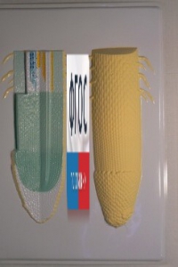 Модель барельефная "Клеточное строение корня" - fgospostavki.ru - Обнинск