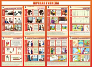 Стенд "Личная гигиена" - fgospostavki.ru - Обнинск