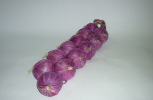 Муляжи "Связка лука" - fgospostavki.ru - Обнинск