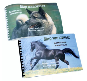 Пособие для слабовидящих - Домашние животные - fgospostavki.ru - Обнинск